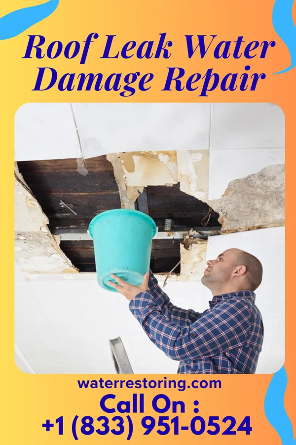 Roof Leak Water Damage Repair in Royal Center, IN