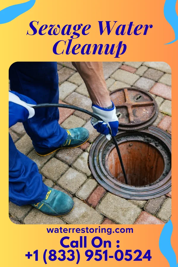 Sewage Water Cleanup in Royal Center, IN